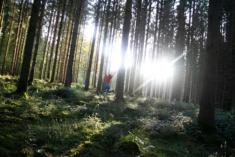 Retrouver sa lumière - Parcours de coaching