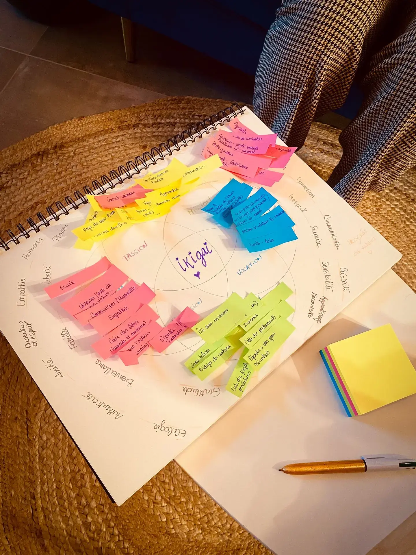 Ikigai, remettre du sens et de l'éqquilibre dans sa vie