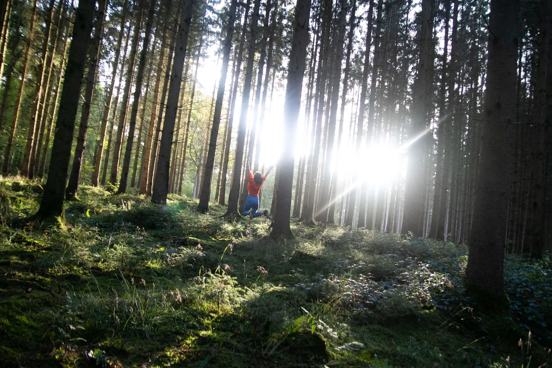 Le développement personnel, un travail de retour à soi